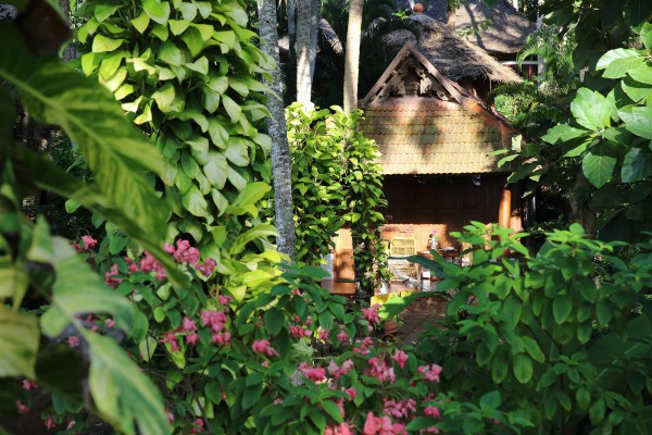 Somatheeram Ayurveda Village